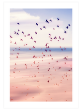 Pamuk Şeker - Art Print